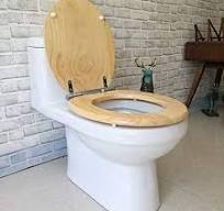 Amazon.com: ZJHFFFG Toilet Seat Slow Close Toilet Seat Lid ...