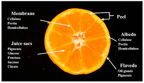 Monitoring of Fluorescence Characteristics of Satsuma Mandarin (Citrus  unshiu Marc.) during the Maturation Period