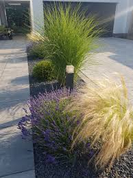 Planted Gravel Bed Bepflanztes Kiesbeet I Planted This Gravel Strip With Grasses And Lavender A Good Two Years In 2020 Kiesbeet Gartengestaltung Landschaftsbau Ideen