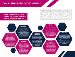 Mosquito traps that use fans, electric grids, or adhesive pads to capture and kill mosquitoes are also somewhat effective. Natural Mosquito Repellent Plants Mosquito Authority