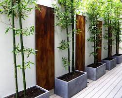 They are extremely durable plants that you can see as hedges and other barriers within a garden. So Serene Landscape Design Bamboo Planter Fence Design