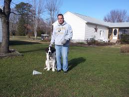 Maybe you would like to learn more about one of these? K 10 Dog Training Announces Akc S T A R Puppy Graduates Cape Gazette