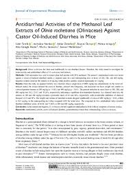 Image result for Olinia rochetiana