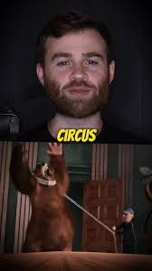 Dreamworks Crossover: Vincent the Bear in The Bee Movie Connection Explained