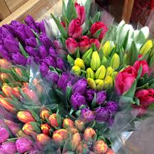 Maybe you would like to learn more about one of these? Katie Noah Gibson On Twitter Trader Joe S Tulips Flowerreport Boston Alyssaharad