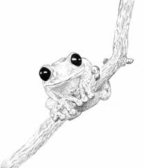 Black and white crazy frog character jumping with cash. Black And White Tree Frog By Sparkywonkenobi On Deviantart