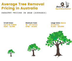 How much to trim a 50ft. Tree Removal Cost Pricing In 2021 Jim S Trees