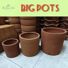 Now look for the container to match your vision. Clay Pot Prices And Online Deals Jul 2021 Shopee Philippines