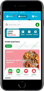 Selain itu akan admin berikan juga dalam bentuk format pdf sehingga dapat langsung dicetak. Saldo Gopay Hilang 2021 Penyebab Jaminan Cara Klaim Infojek