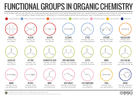 Organic Chemistry Functional Group Chart Www