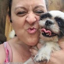 25 cute Shih Tzu puppies for sale in Gaithersburg, Maryland