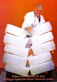 Danos mester, ezredes nyírbátorban látta meg a napvilágot 1947. A Kyokushin Tortenete Japantol Magyarorszagig Kyosharcosok