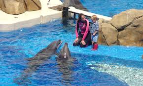 Where To Go On Holiday In June 2020 2021 For Best Hot Weather Sea World Holidays In May Seaworld Orlando