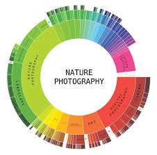 Sunburst Chart Roadmap What Would You Like To See