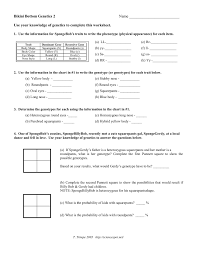 Only a spongebob expert can answer these 16 trivia questions. Use Your Knowledge Of Genetics To Complete This Worksheet Pages 1 3 Flip Pdf Download Fliphtml5