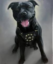 The process is really simple. Pet Portrait Paintings From Photos Hand Painted Portraits