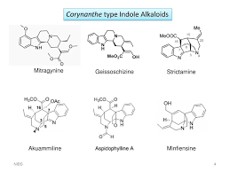 Image result for Corynanthe