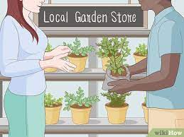 Fill the pot up halfway with porous potting soil, then cover the roots of the fern with more soil. 3 Ways To Grow A Garden Wikihow
