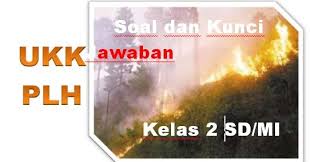Ajukan pertanyaan tentang tugas sekolahmu. Soal Dan Kunci Jawaban Ukk Plh Kelas 2 Sd Mi