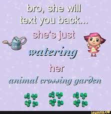 Bro She Wh Text You Bacia Ifunny Animal Crossing Animal Crossing Memes Animal Crossing Game