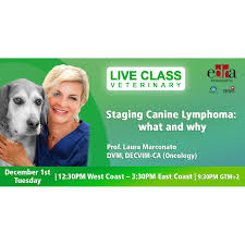 The most effective therapy for lymphoma in dogs is chemotherapy a second remission is possible, but rarely lasts as long as the first remission. How Long Will A Dog With Lymphoma Live