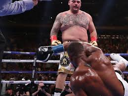 Andy ruiz jr recovered from an early scare to defeat chris arreola on his return to the ring in california on saturday night. Andy Ruiz I Look Forward To Ending Joshua S Career In The Desert Boxing News