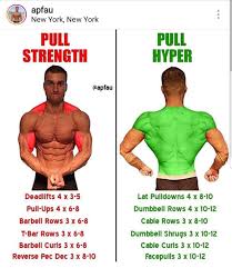 Pull Strength Vs Pull Hypertrophy Gym Workout Tips Weight Training Workouts Push Pull Workout