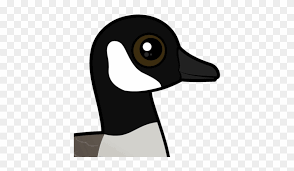 Vector silhouette goose on white background. About The Canada Goose Canadian Goose Cartoon Free Transparent Png Clipart Images Download