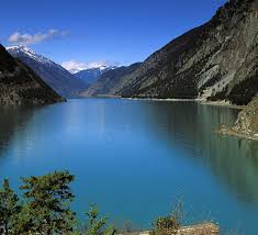 Image result for Sporobolus myrianthus