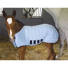 Foal Blankets Shop Horse Baby Blankets Foal Blankets