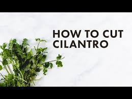 Check spelling or type a new query. How To Cut Cilantro A Couple Cooks