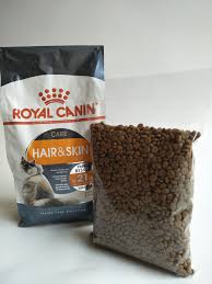 We did not find results for: Jual Makanan Kucing Royal Canin Hair N Skin Repack 1kg Cek Harga Di Pricearea Com