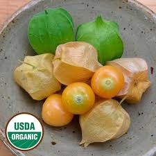 Maybe you would like to learn more about one of these? Grow Ground Cherry Seed Savers Exchange
