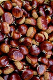 Entspannen und genießen unter alten kastanien das traditionslokal speisekammer in heddernheim mehr reservierungen Kastanienland Ch Wissenswertes Sammeln Von Kastanien