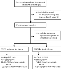 The pancreas is a bodily organ that few people think about. Risk Of Prostate Cancer Diagnosis And Mortality In Men With A Benign Initial Transrectal Ultrasound Guided Biopsy Set A Population Based Study The Lancet Oncology