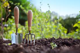 Grow your own veg â getting started. A step towards self sufficiency!