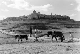 1953 Farmers Working The Fields Malta History Malta Island Maltese Islands