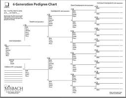 pin on genealogy