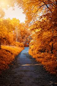 See more ideas about fall pictures, pictures, beautiful fall. Pretty Pictures Of Fall Popsugar Smart Living