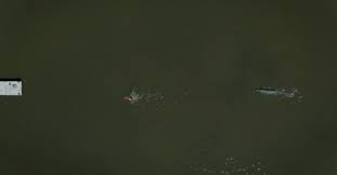 Fashion in 2022 Film | X, The Batman & Everything Everywhere All At Once -  Bubblegum Club