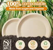 Amazon.com: Compostable Dessert Plates: 9 Inch 100Pack Heavy ...