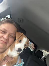 Baby Shark Boy and his Bestie❤️