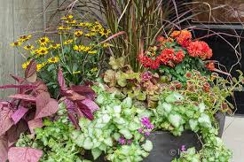 Best tip filling large outdoor planters much. Fall Planter Ideas That Will Take You Well In To Winter Hearth And Vine