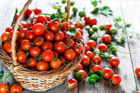 We did not find results for: Cherry Bomb Tomatoes Season Nutrition How To Eat Store Cook Texasrealfood