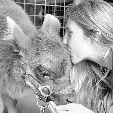 Robin Buckner's Instagram, Twitter & Facebook