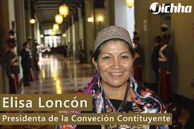 Check spelling or type a new query. Jichha Elisa Loncon Representante Del Pueblo Mapuche Facebook