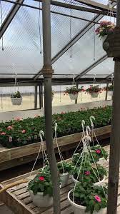 Maybe you would like to learn more about one of these? Skinkles Flowers Home Facebook