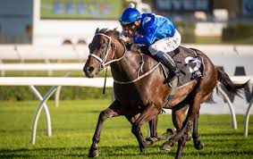 I hope you've done your brain exercises. Celebrate Winx S Wonderful Career With This Special Quiz On World Racing S Favourite Horse Thoroughbred Racing Commentary