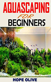Depending on the variety the color, shape and length of the leaves will vary as well. Aquascaping For Beginners Discover Everything You Need To Know About Aquascaping Kindle Edition By Olive Hope Crafts Hobbies Home Kindle Ebooks Amazon Com