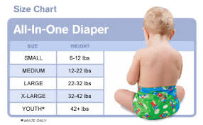 bumkins all in one cloth diaper borntolove com